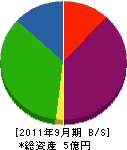 渡辺組 貸借対照表 2011年9月期