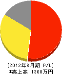 大阪屋畳製造販売所 損益計算書 2012年6月期