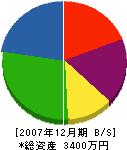 東岐電気商会 貸借対照表 2007年12月期