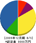 北川工務店 貸借対照表 2009年12月期