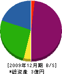 朝倉 貸借対照表 2009年12月期