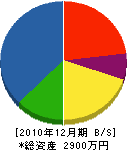 阪本工業 貸借対照表 2010年12月期