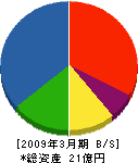 興亜開発 貸借対照表 2009年3月期