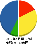 堀江工業 貸借対照表 2012年5月期