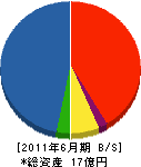 浅田工業 貸借対照表 2011年6月期