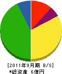 篠田石材工業 貸借対照表 2011年9月期