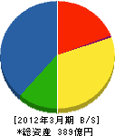 丸藤シートパイル 貸借対照表 2012年3月期