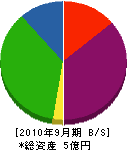 渡辺組 貸借対照表 2010年9月期