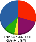村井建設 貸借対照表 2010年7月期