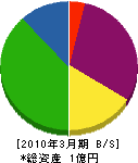 舘沢電気 貸借対照表 2010年3月期