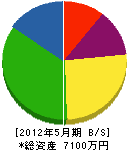 渡邉建具建材 貸借対照表 2012年5月期