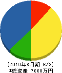 横田設備 貸借対照表 2010年6月期