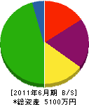丸竹工業 貸借対照表 2011年6月期