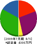 小川建設 貸借対照表 2009年7月期
