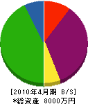 篠原商会 貸借対照表 2010年4月期