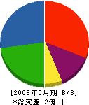 内田組 貸借対照表 2009年5月期