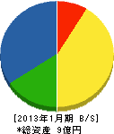 日本ガス水道 貸借対照表 2013年1月期