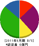 柿崎重機 貸借対照表 2011年6月期