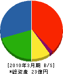 飯村機電工業 貸借対照表 2010年3月期
