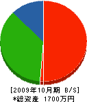 昭和造園 貸借対照表 2009年10月期