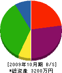 齊藤造園 貸借対照表 2009年10月期