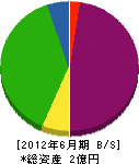 梅井建設 貸借対照表 2012年6月期