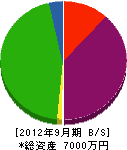 仲田塗装 貸借対照表 2012年9月期