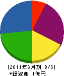 伊藤産業 貸借対照表 2011年6月期