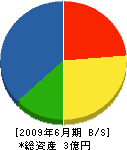 和田 貸借対照表 2009年6月期