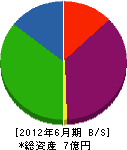 冨田工務店 貸借対照表 2012年6月期