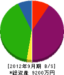 橋本組 貸借対照表 2012年9月期