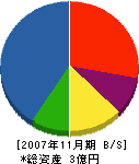 林田組 貸借対照表 2007年11月期