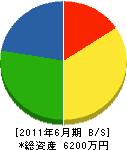 豊国道路 貸借対照表 2011年6月期