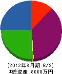 藤田建設 貸借対照表 2012年6月期
