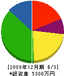 鈴木商会 貸借対照表 2009年12月期