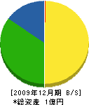永井材木 貸借対照表 2009年12月期
