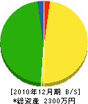 山本工業 貸借対照表 2010年12月期