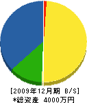 吉田建築 貸借対照表 2009年12月期