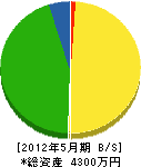 小井組 貸借対照表 2012年5月期