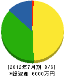 富士システム 貸借対照表 2012年7月期