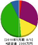 前田秀翠園 貸借対照表 2010年5月期