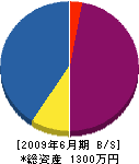 司丸海事 貸借対照表 2009年6月期
