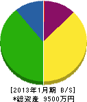 東日電子 貸借対照表 2013年1月期