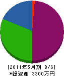 石田電工 貸借対照表 2011年5月期