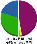 滝沢電気工事 貸借対照表 2010年7月期
