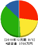小沢美装 貸借対照表 2010年12月期