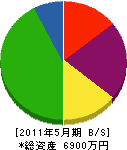 藤田電化 貸借対照表 2011年5月期