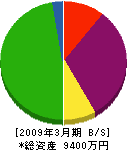 松栄電業社 貸借対照表 2009年3月期
