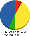 水澤工業 貸借対照表 2012年1月期