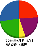 江ノ川開発 貸借対照表 2008年9月期